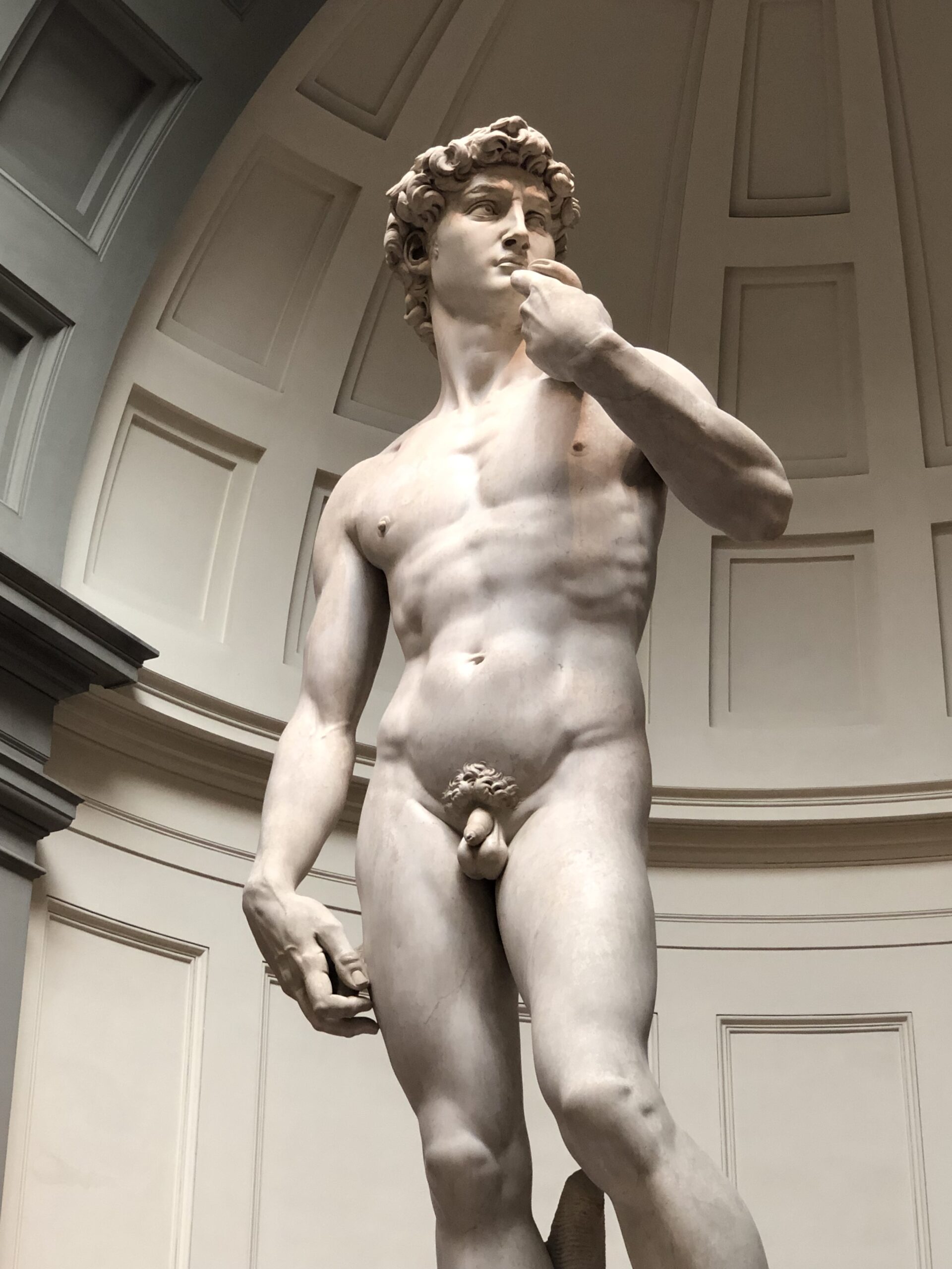 David, Michelangelo, Firenza