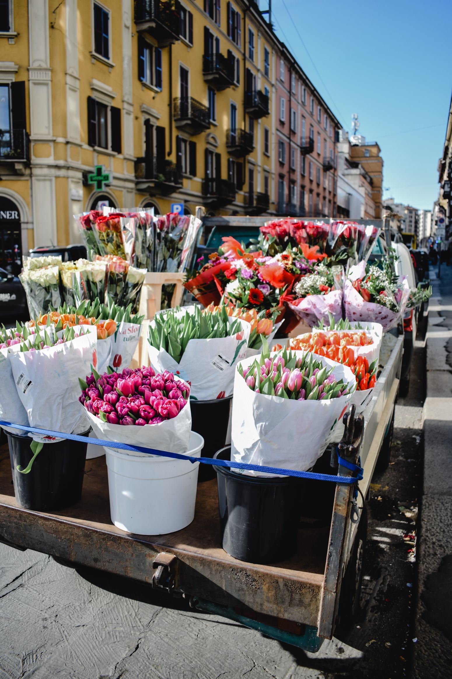 flower market Zagreb, zelena tržnica