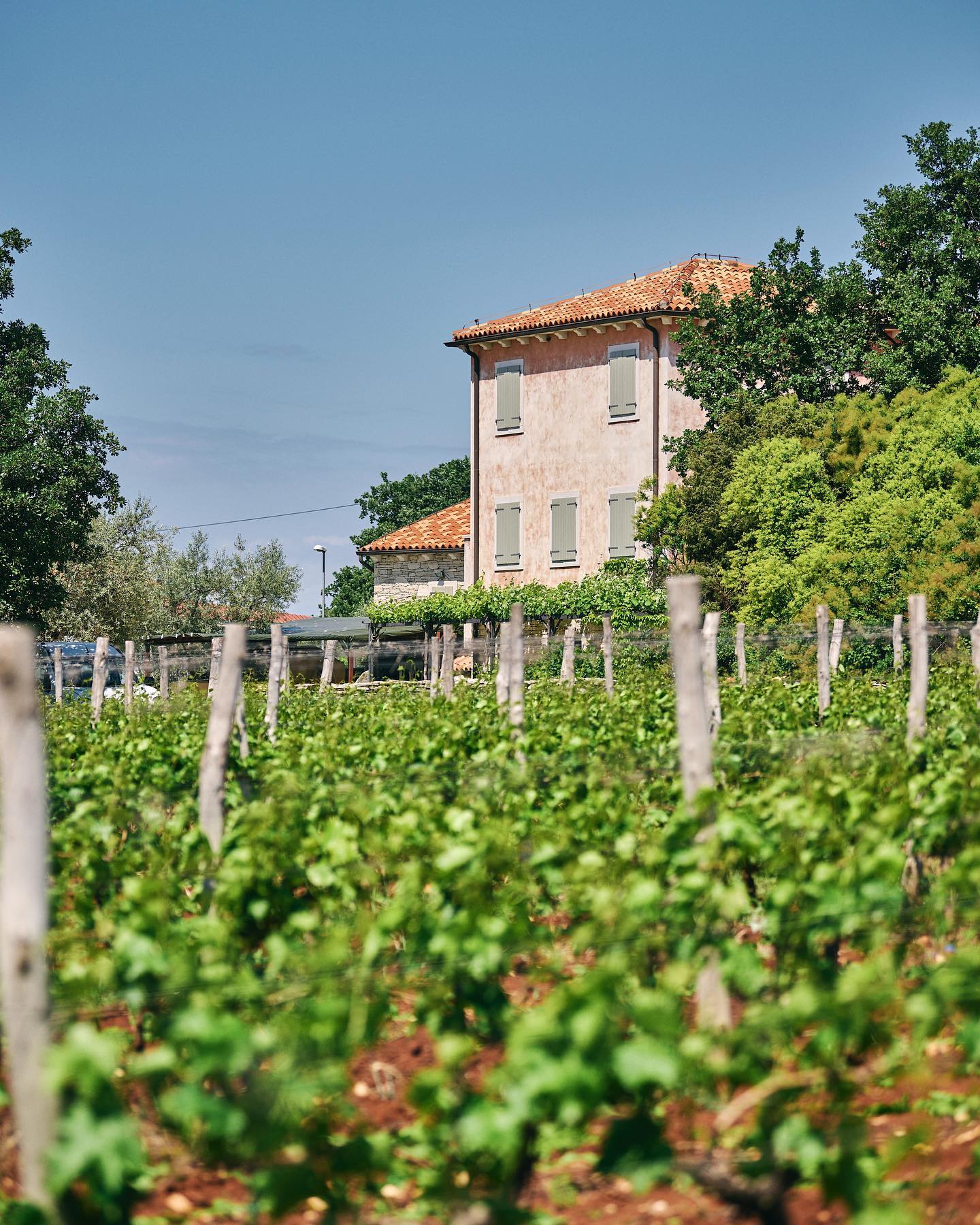 vinarija CUJ bed & breakfast