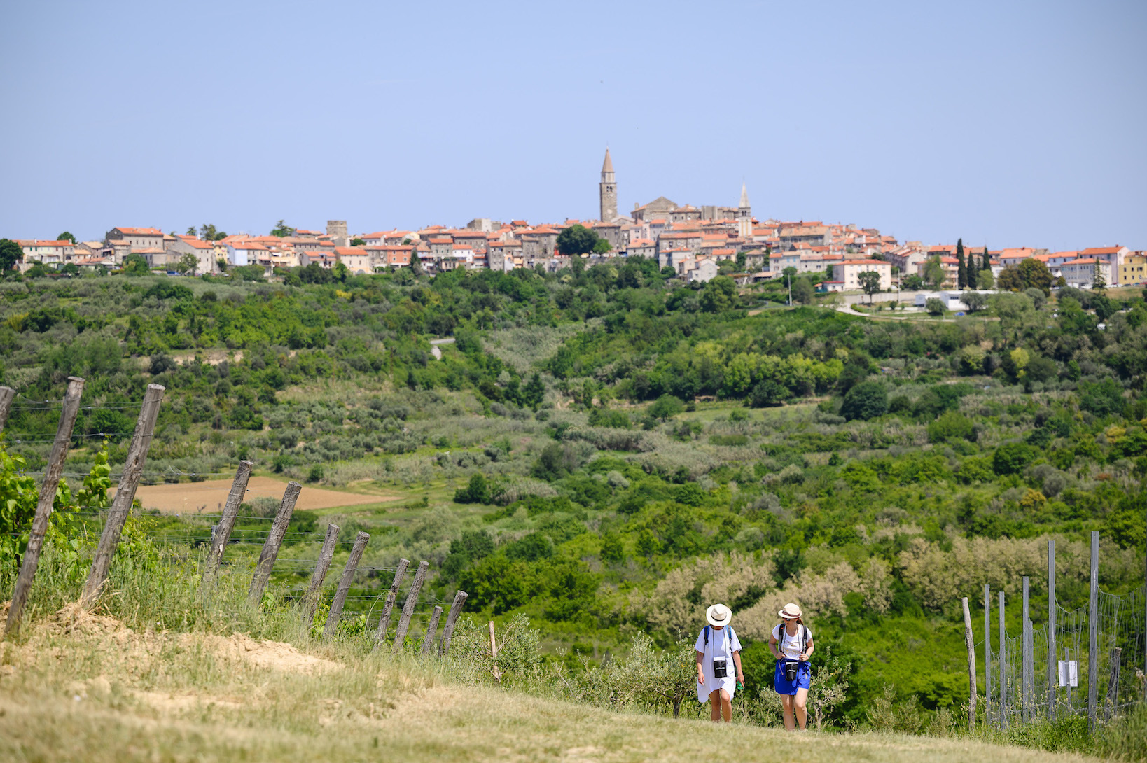 Istria Wine&Walk 2024., Istria Wine&Walk, wine&walk manifestacije po Hrvatskoj, vino, šetnja