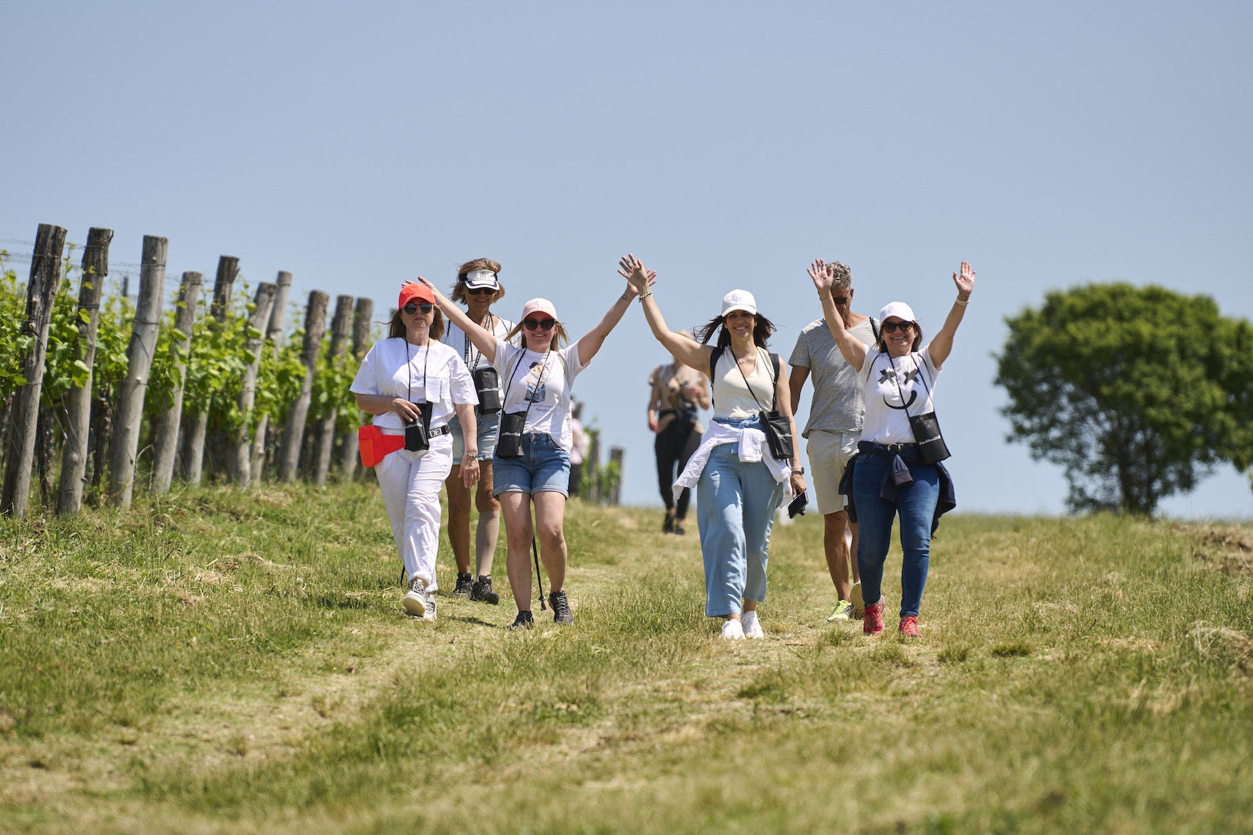 Istria Wine&Walk 2023. 