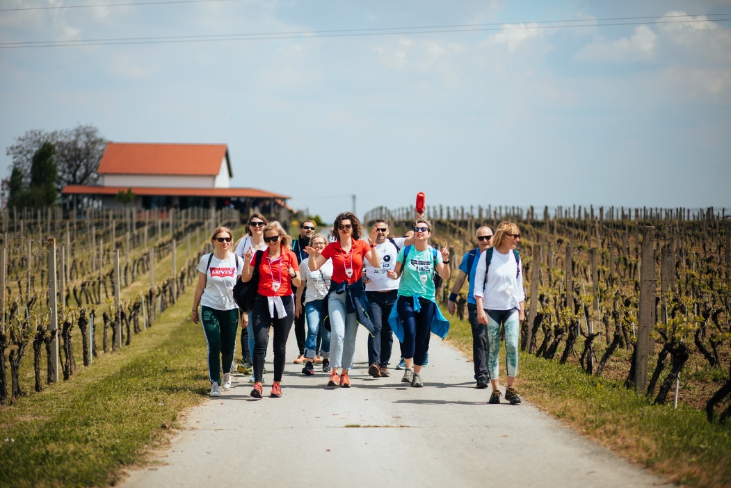 Ilok Walk&Wine, Ilok, wine & walk, vino, vikend izleti