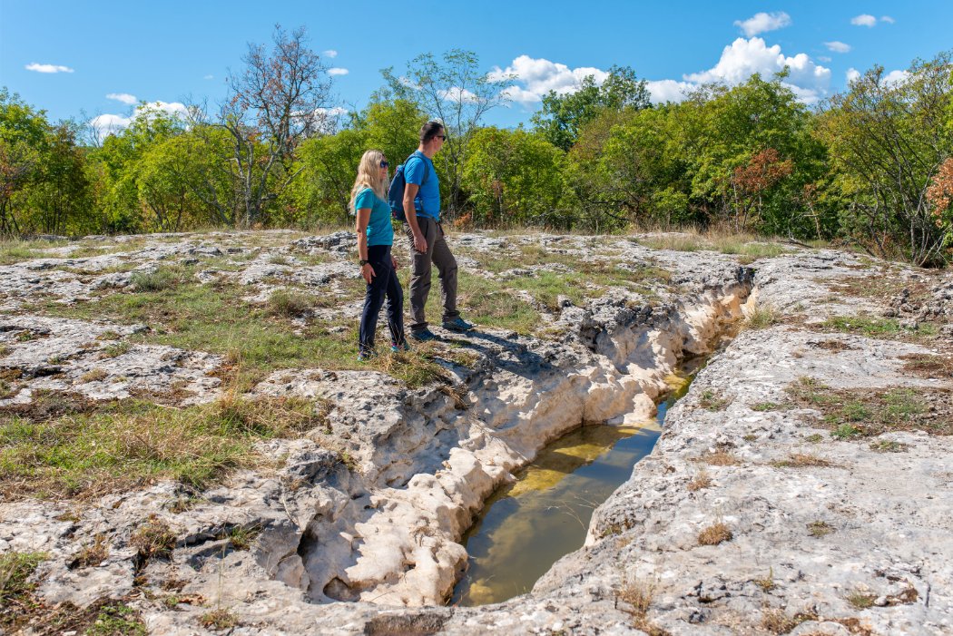 Staza kalića i bukaleta, Istra