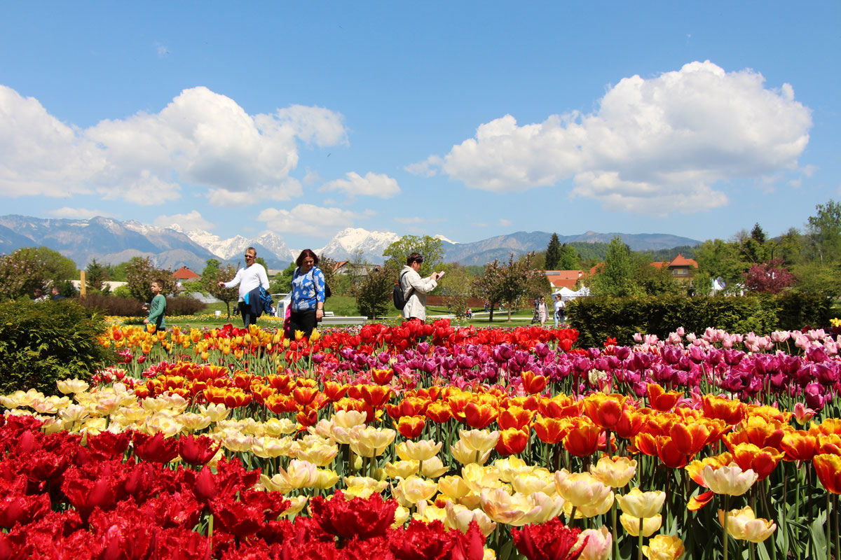 Volčji Potok, arboretum, botanički vrt, Slovenija