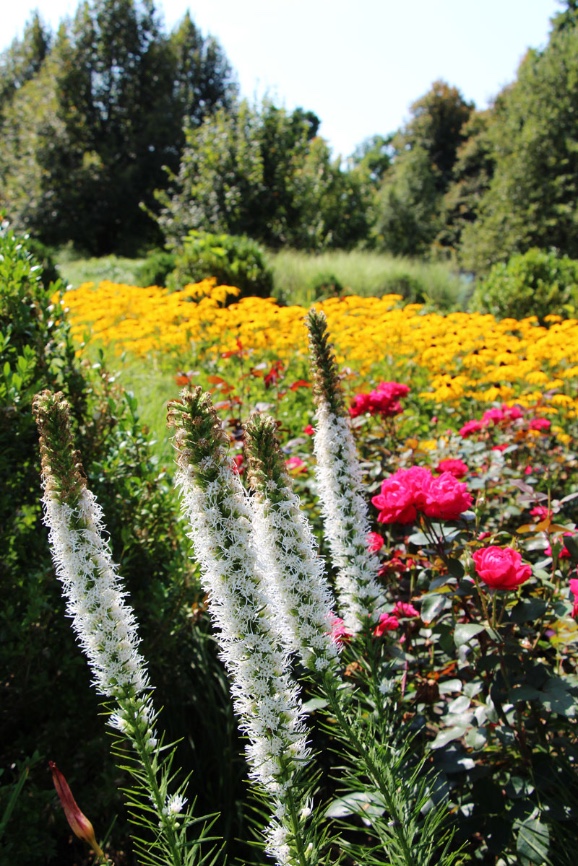 Volčji Potok, arboretum, botanički vrt, Slovenija