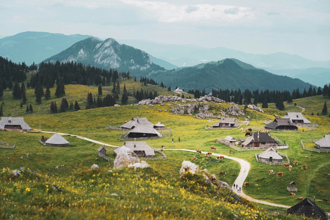 izlet u Sloveniju, izletišta u Sloveniji, Slovenija, izlet, izleti u Sloveniju, Velika planina