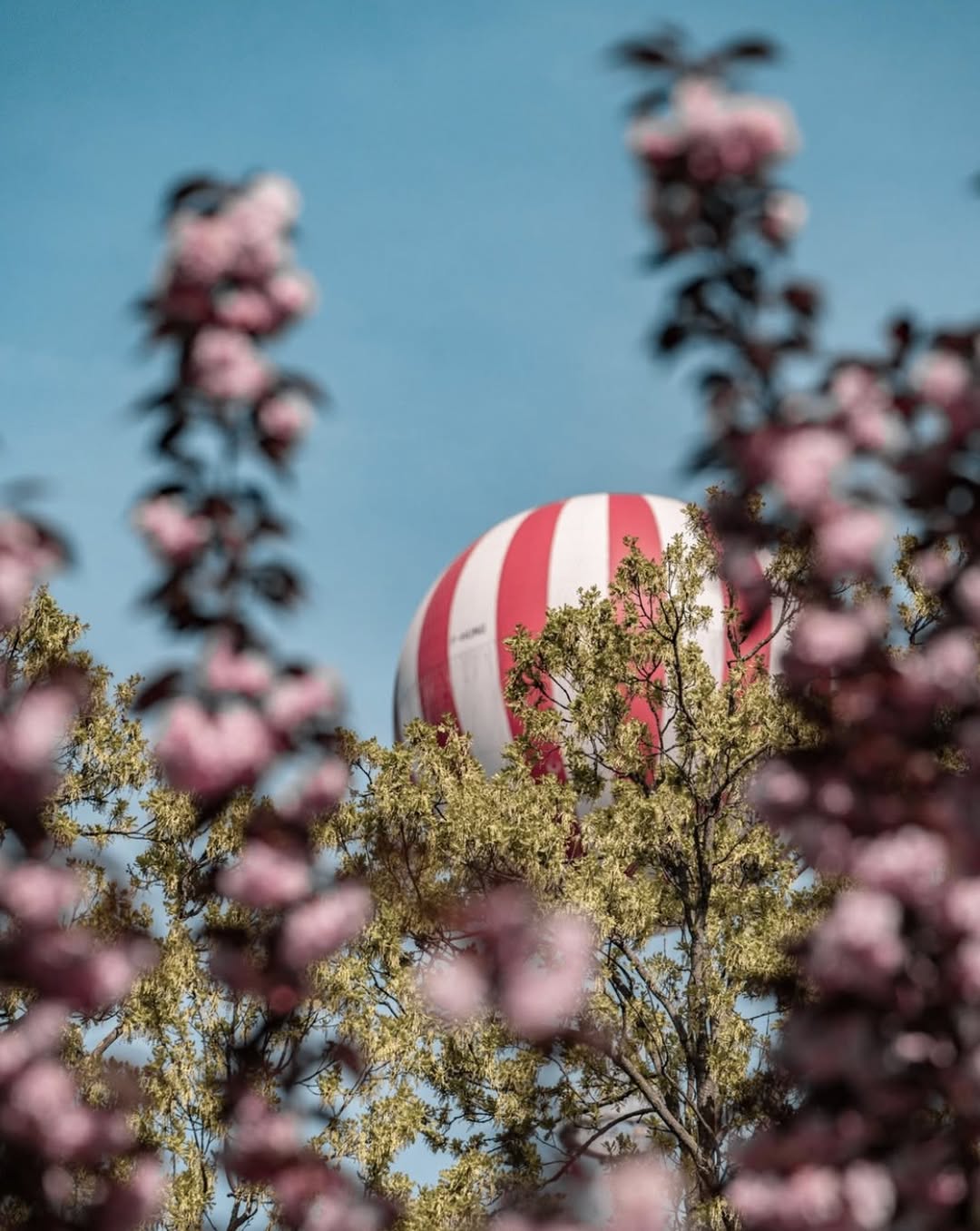 let balonom, Budimpešta, BalloonFly Budapest, let balonom iznad Budimpešte, izlet u Budimpeštu, atrakcije u Budimpešti