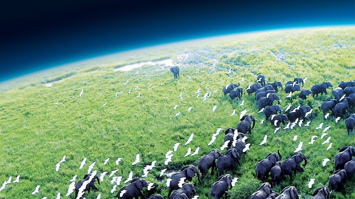 David Attenborough, Zemlja, planet Zemlja, dokumentarci Davida Attenborougha