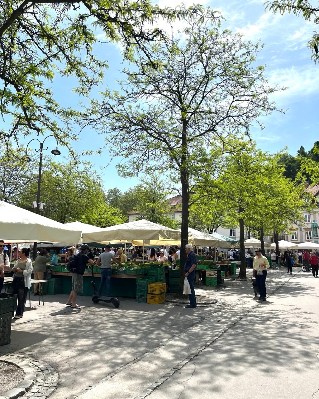 izlet u ljubljanu, vlakom u ljubljanu, ljubljana izlet, ljubljana vlakom