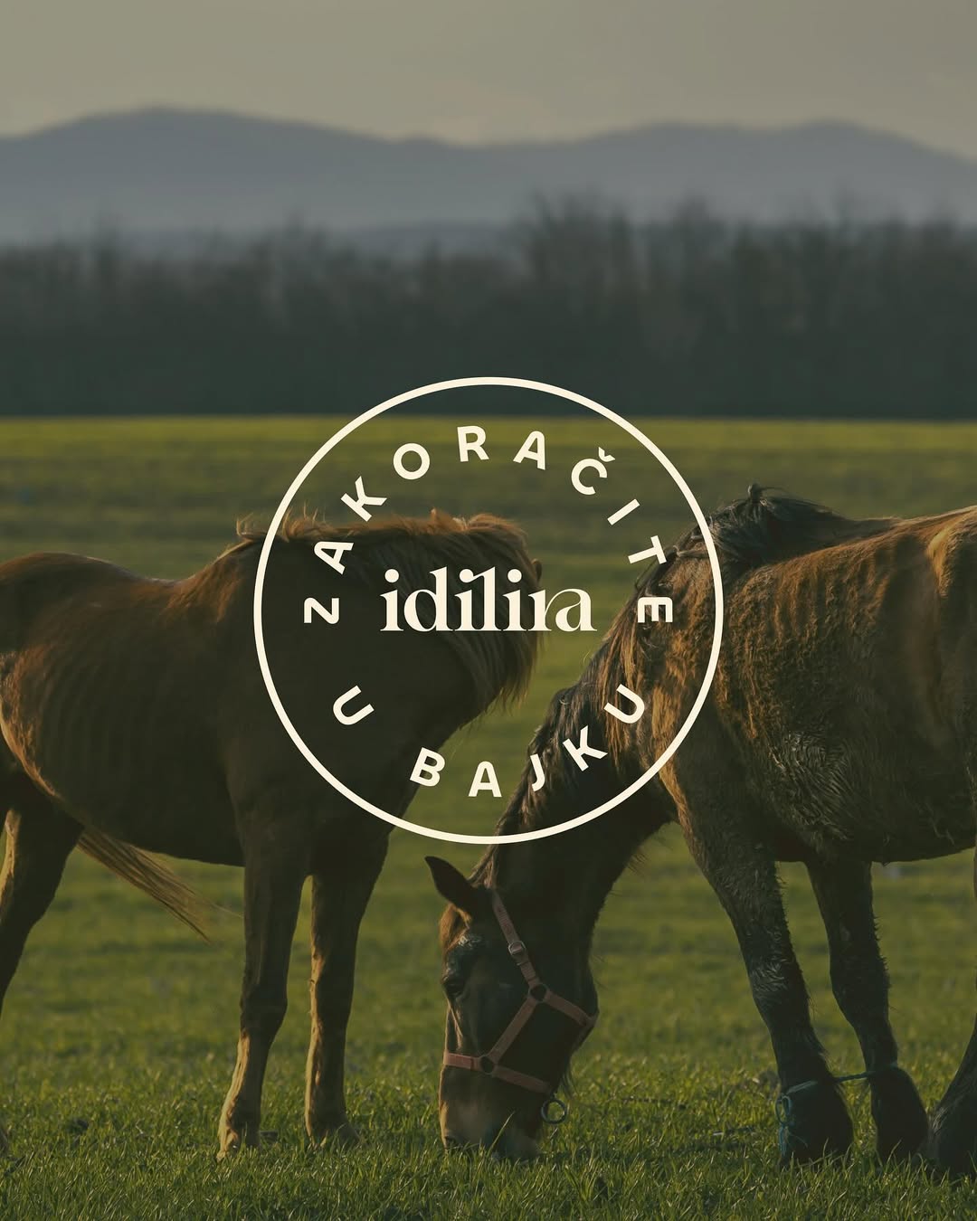 Idilira, najam vila Zagorje, kuće za odmor Zagorje, Zagorje, Zagorje izleti