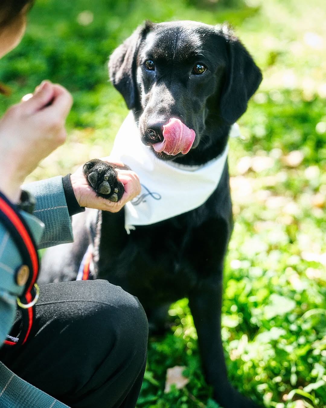 Chief Happiness Officer