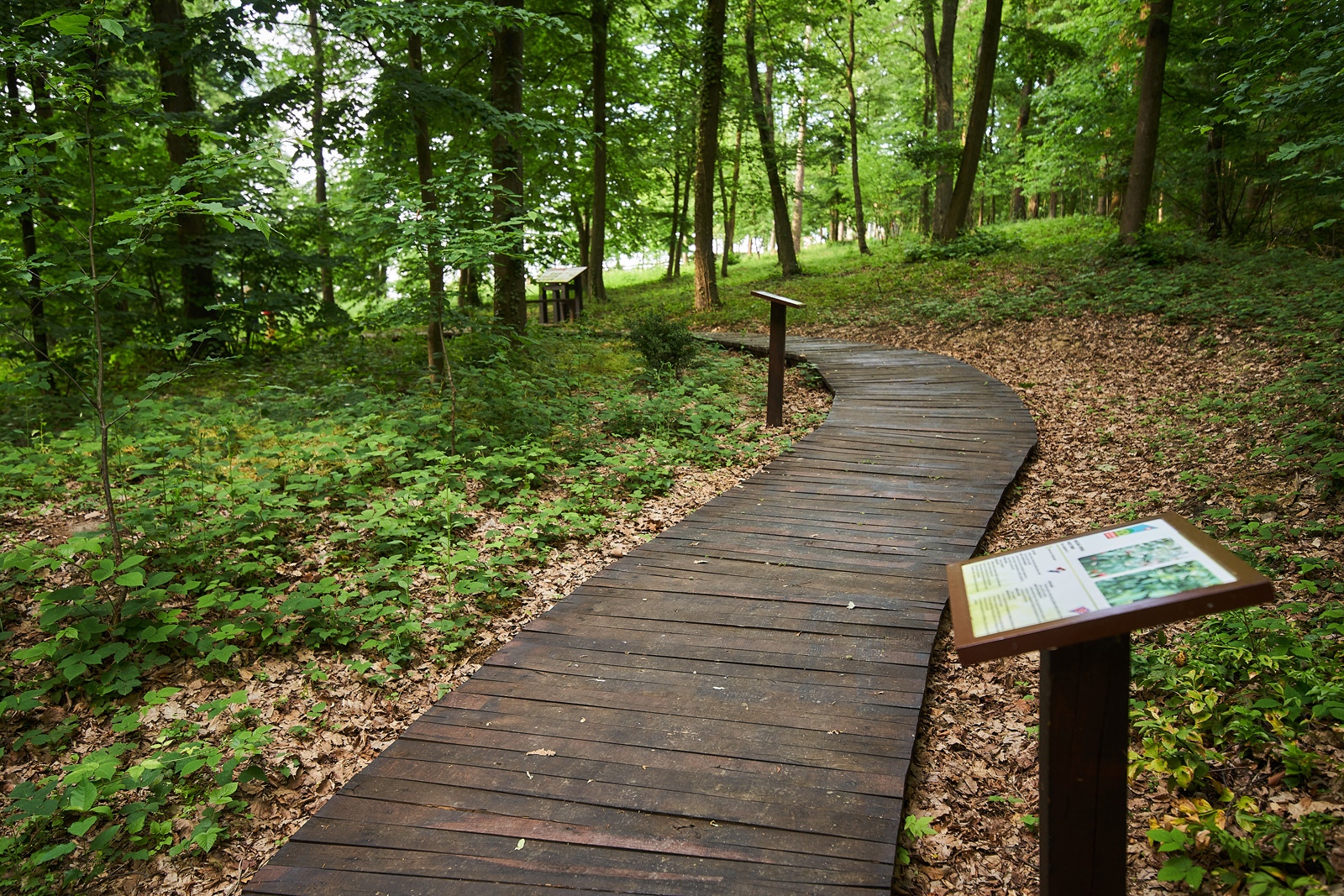 Bilogora, izlet, planinarenje