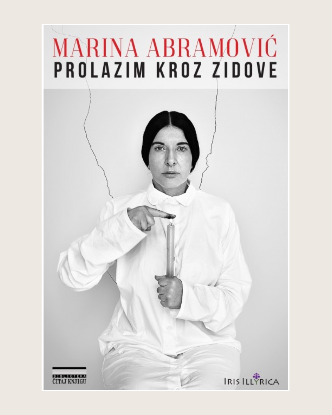 preporuke za čitanje, Knjige koje smo pročitali u jednom danu
