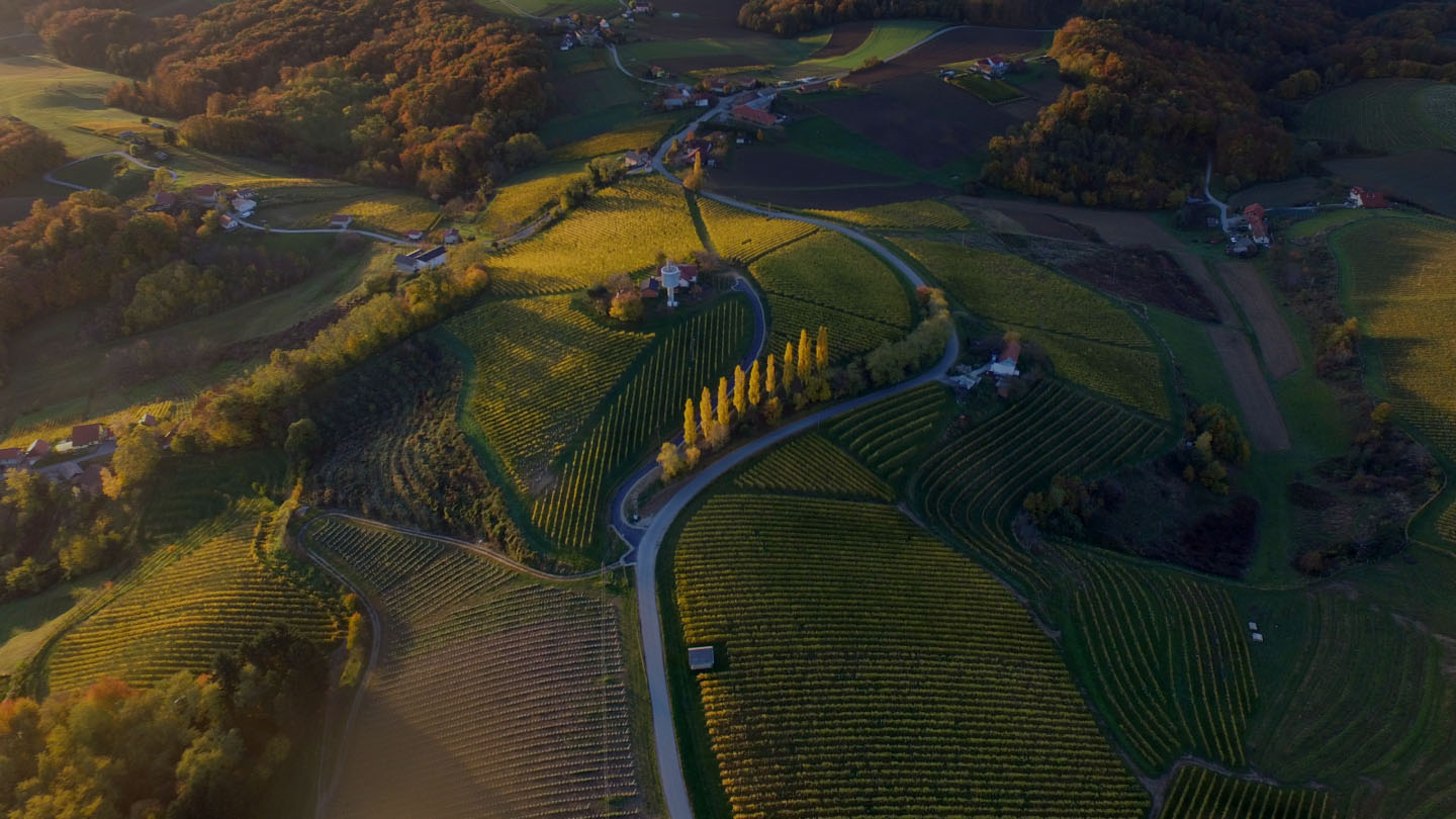 Marketplace Štajerska, iskustva u Sloveniji