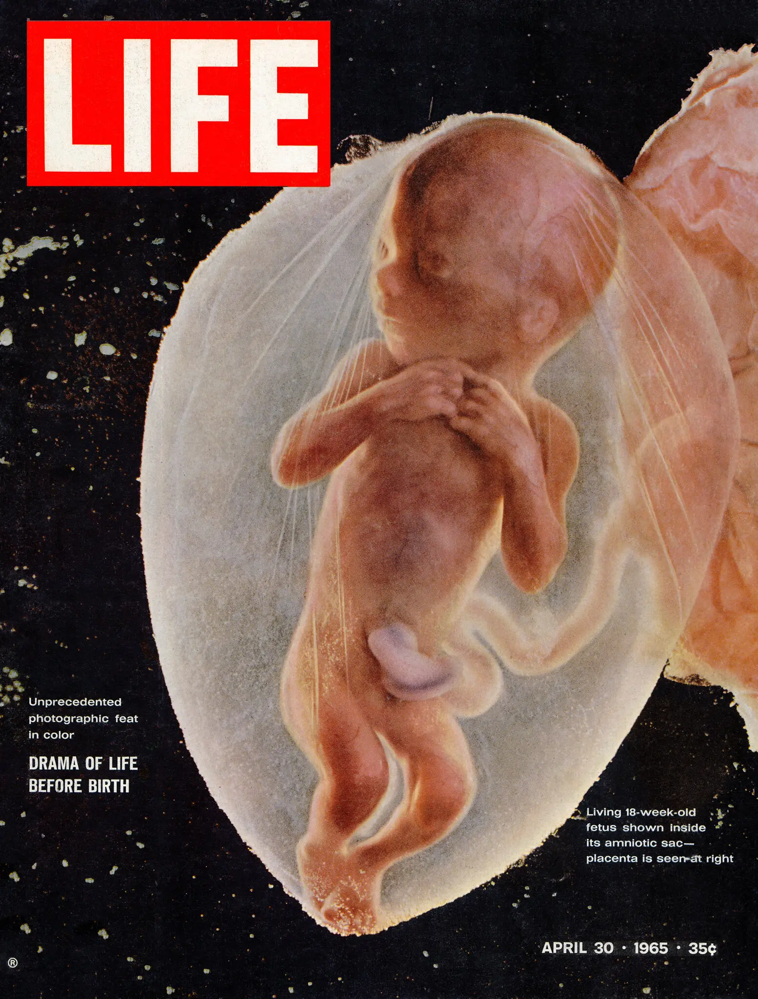 naslovnice magazina, najutjecajnije naslovnice magazina