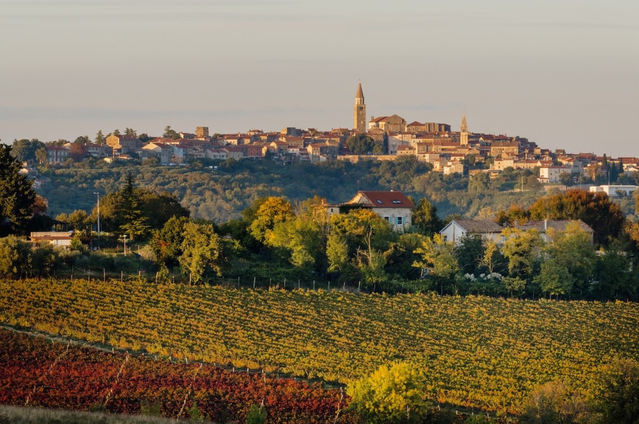 sjeverozapadna istra, klaster sjeverozapadne istre, istra, buje, promo spot, baby lasagna