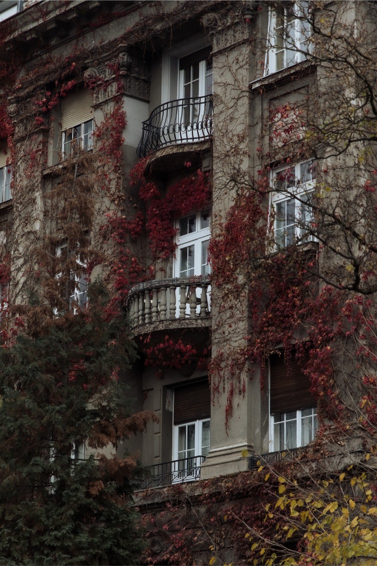 adventski vijenac 2025., gdje naručiti adventski vijenac, adventski vijenci 2025, gdje kupiti adventski vijenac