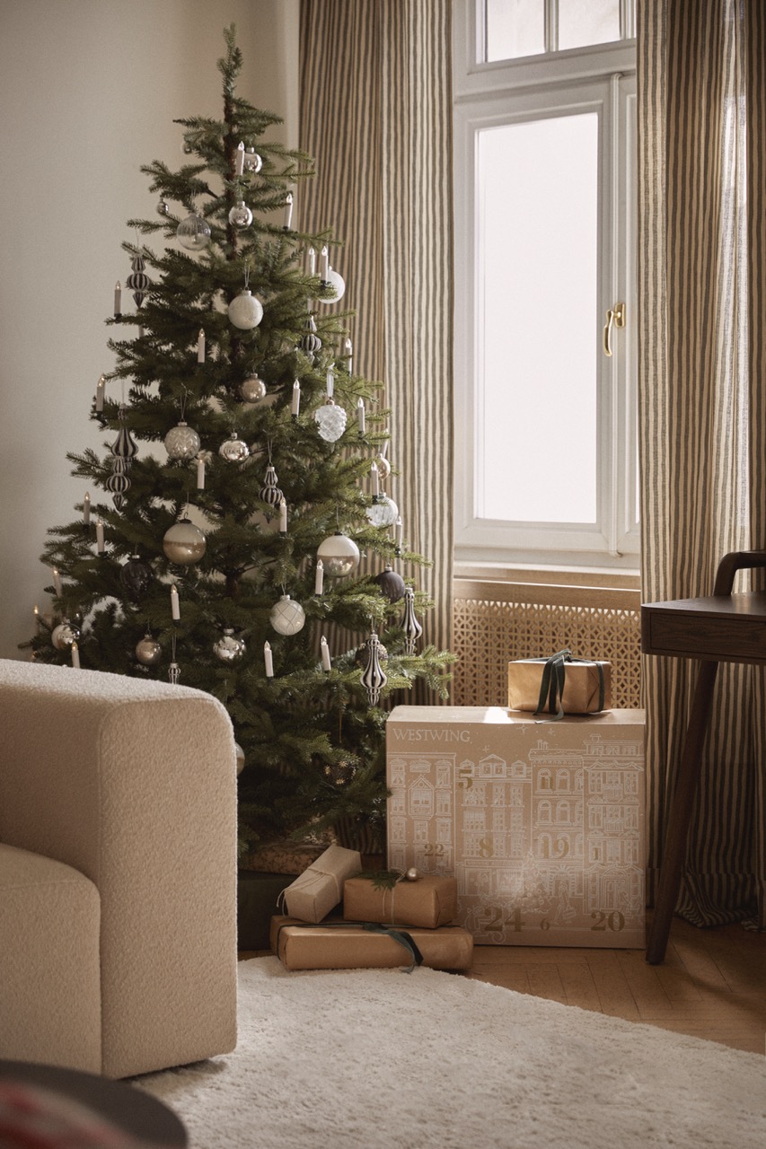 najam božićnog drvca, bor, gdje unajmiti bor, rent a plant